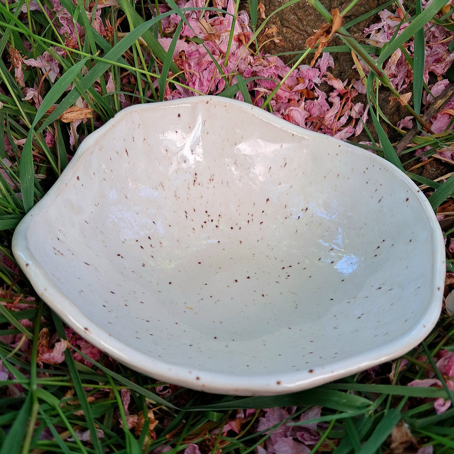 Plat Sidonie